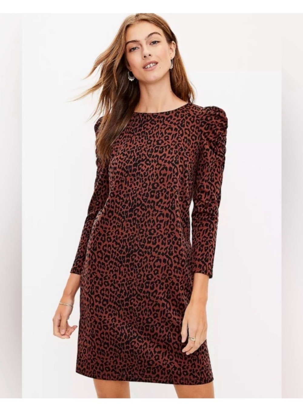 LOFT Brown and Black Leopard-Print Long Sleeve Shift Dress